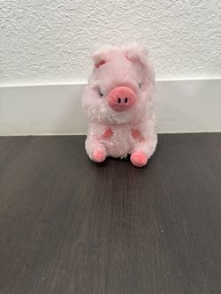 Piggy Plushie