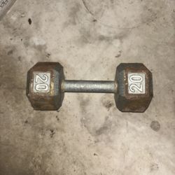 20 Lbs Dumbell