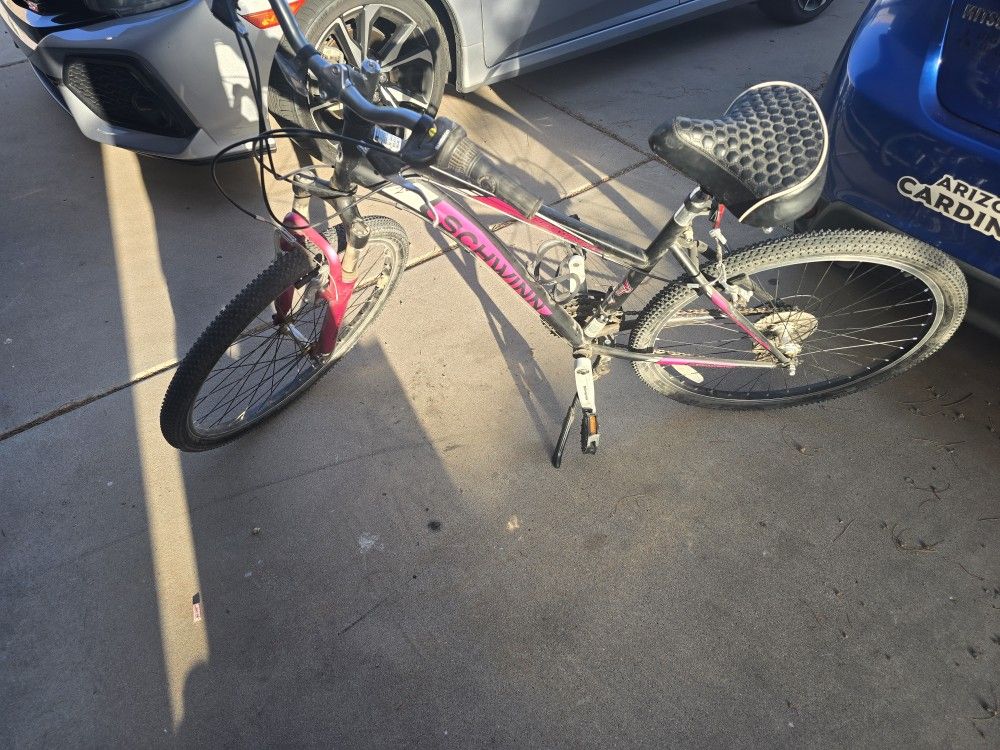 Schwinn Girls Bike