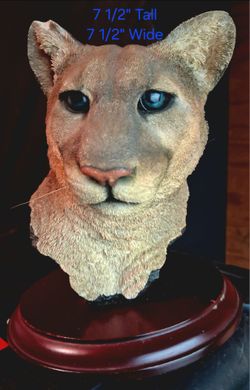 Mountain Lion Bust