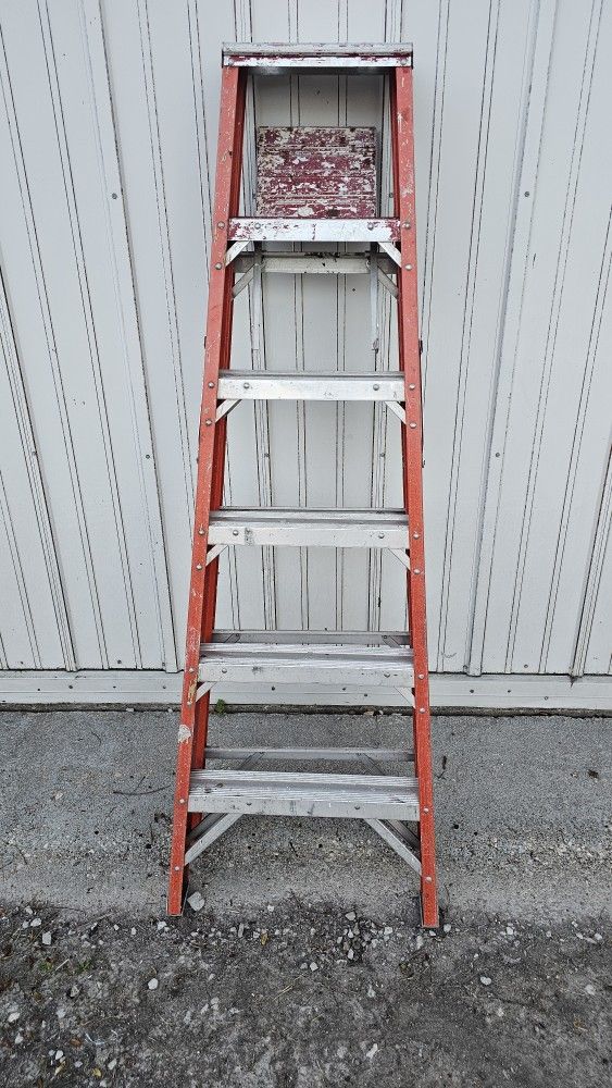 6 Foot Ladder