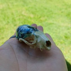 Acrylic Abstract Art Pour Painted Mink Skull