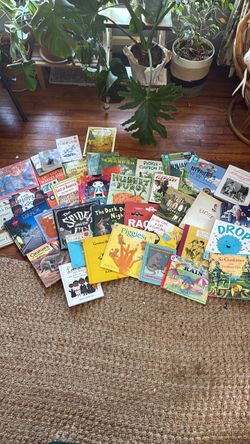 Kids Picture Books- Large Lot