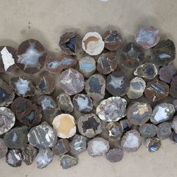 Lot 53 Thundereggs Agate Chalcedony Jasper Lapidary Crystal Geode