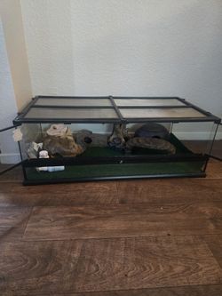 50 Gal Terrarium Tank