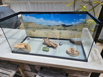 40 gallon reptile tank with decoration and bulbs