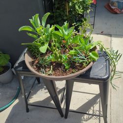 21" Brown Plastic Planter