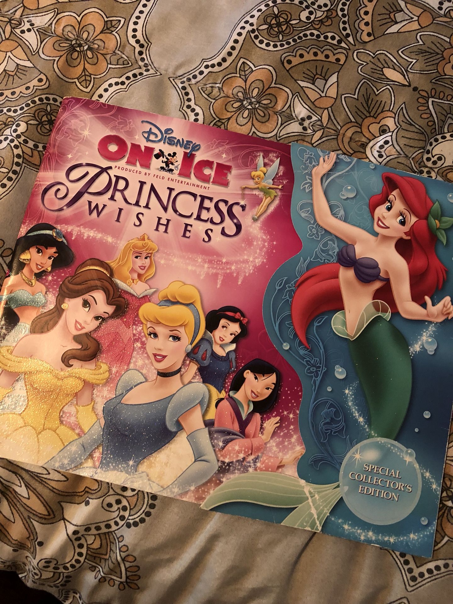 2007 Disney on ice princess wishes program
