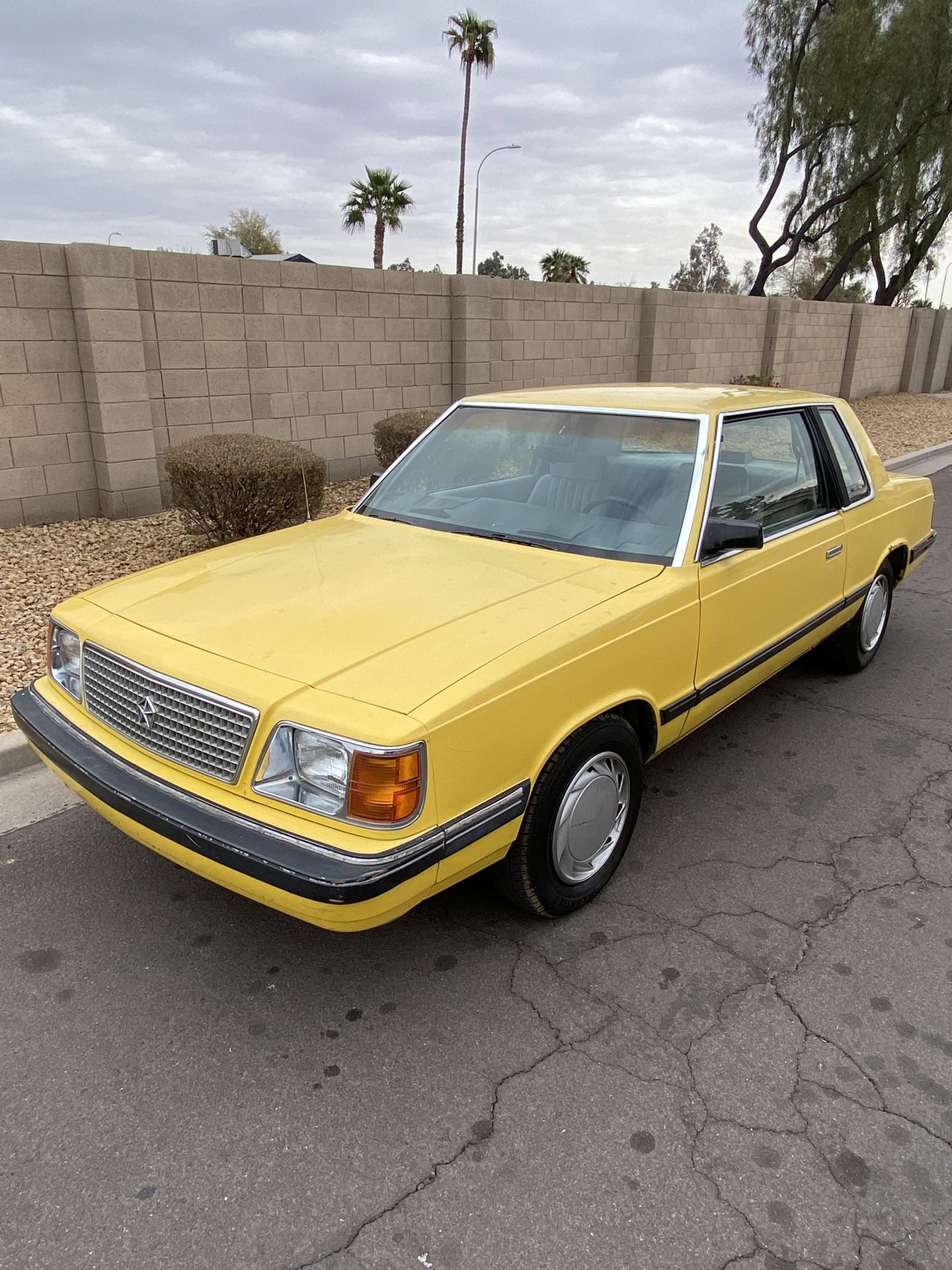1987 Plymouth ( No Parts )