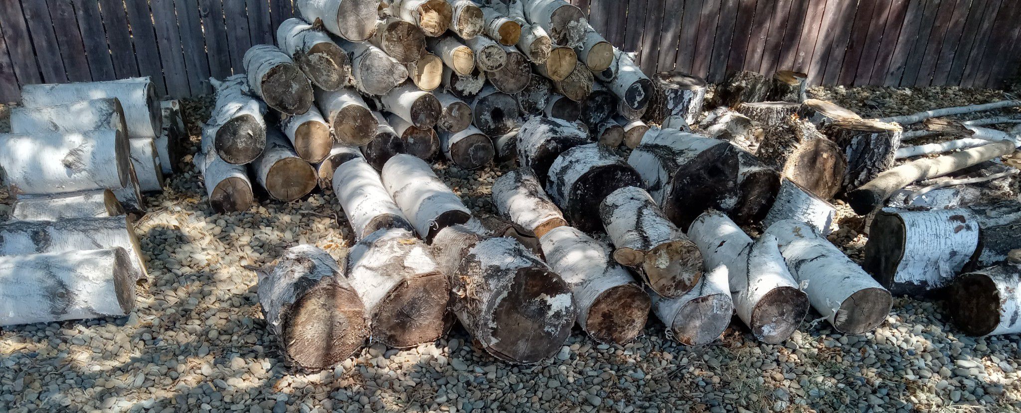 Birchwood, dried - make offer!  large variety