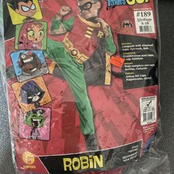 Teen Titans Go Robin Costume