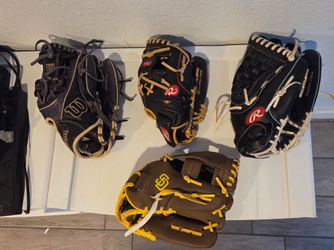 Baseball Gear Gloves and Bats