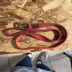Dog Leash