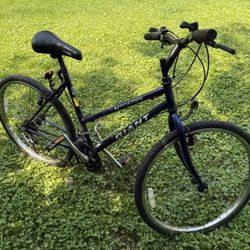 Bicycle Woman’s Giant  $100