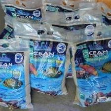 Live Sand For Aquariums