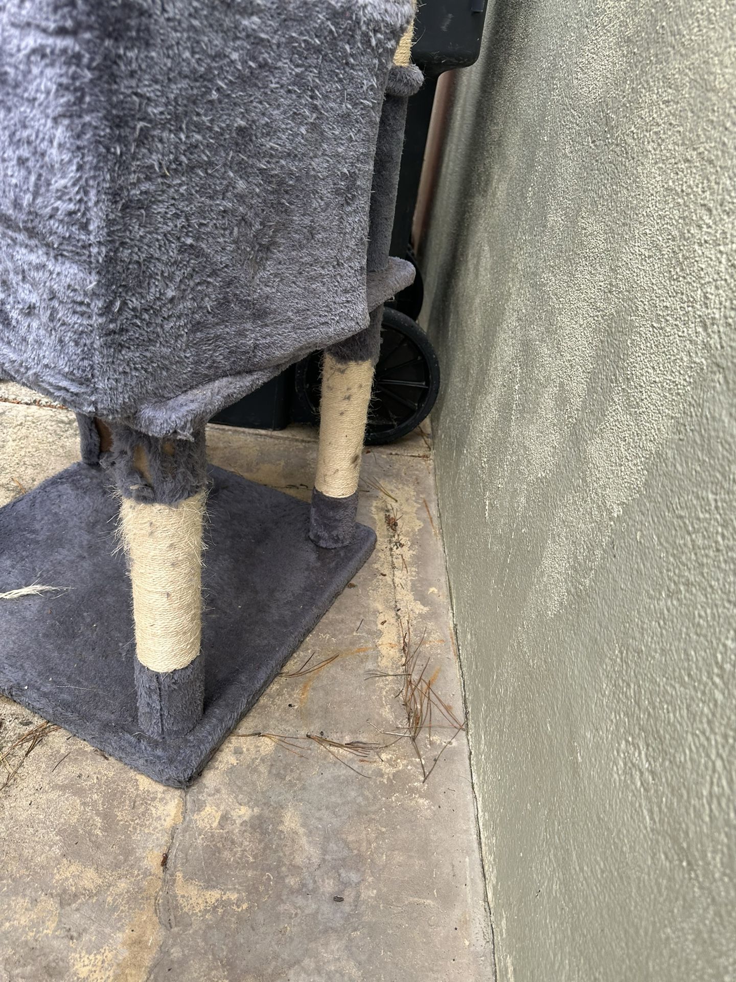 Cat house