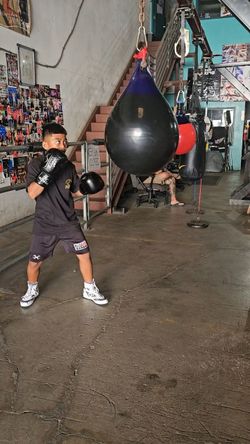 Water filled punching bag