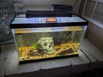 Fish tank