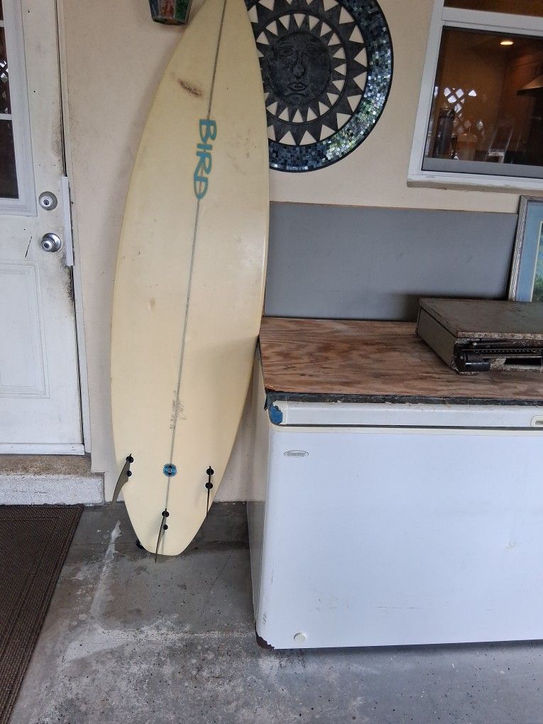 Bird Surfboard  $300.00