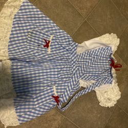 Dorothy Costume