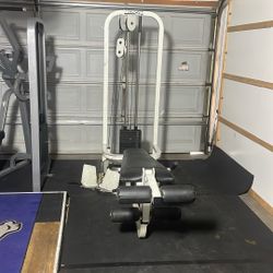 Maxicam Prone Leg Curl, Extension, And Low Row 