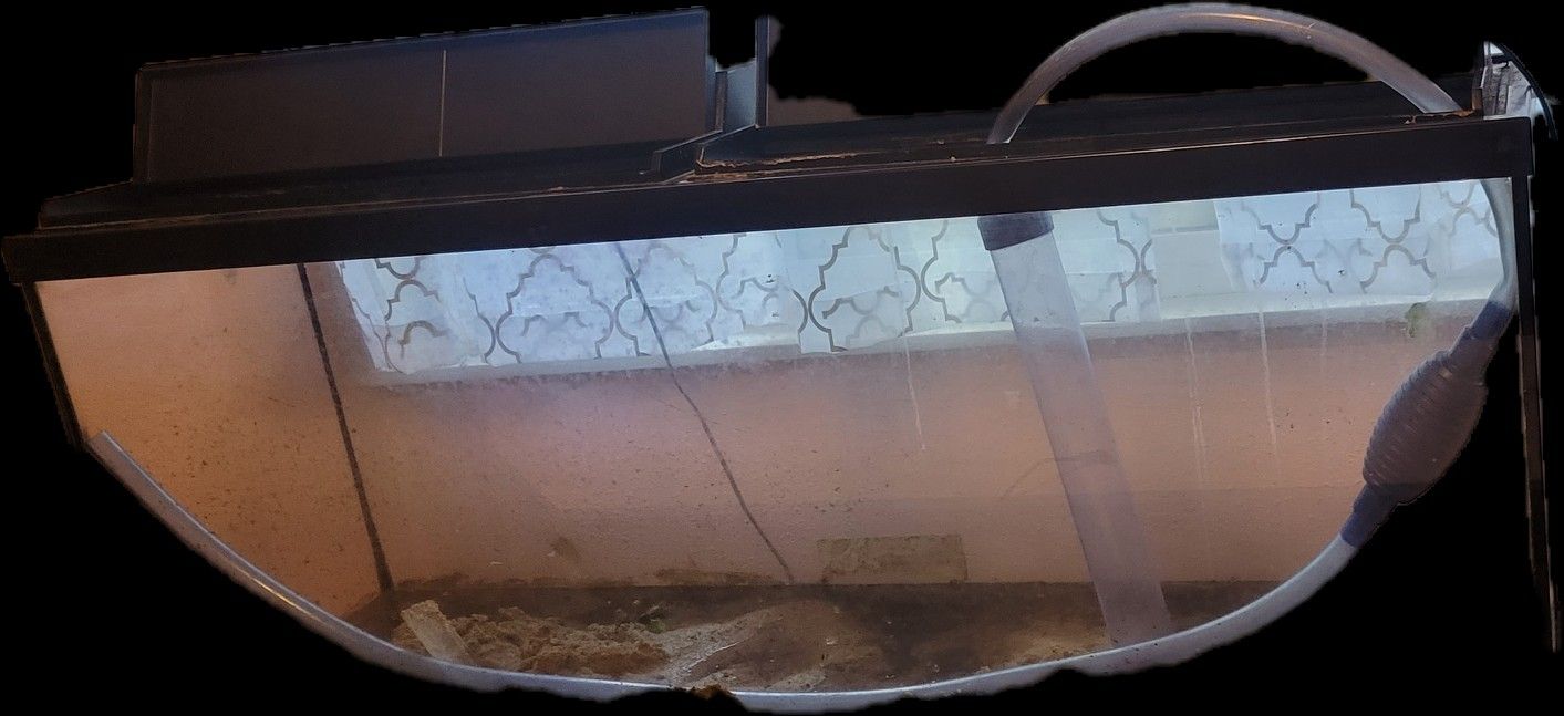 55 Gallon Aquarium