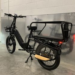 Electric Passenger Bus Style E-bike, 750W, 28mph, 20x3.0 heavy tread tire, Hydraulic Brakes, Step Through Thru