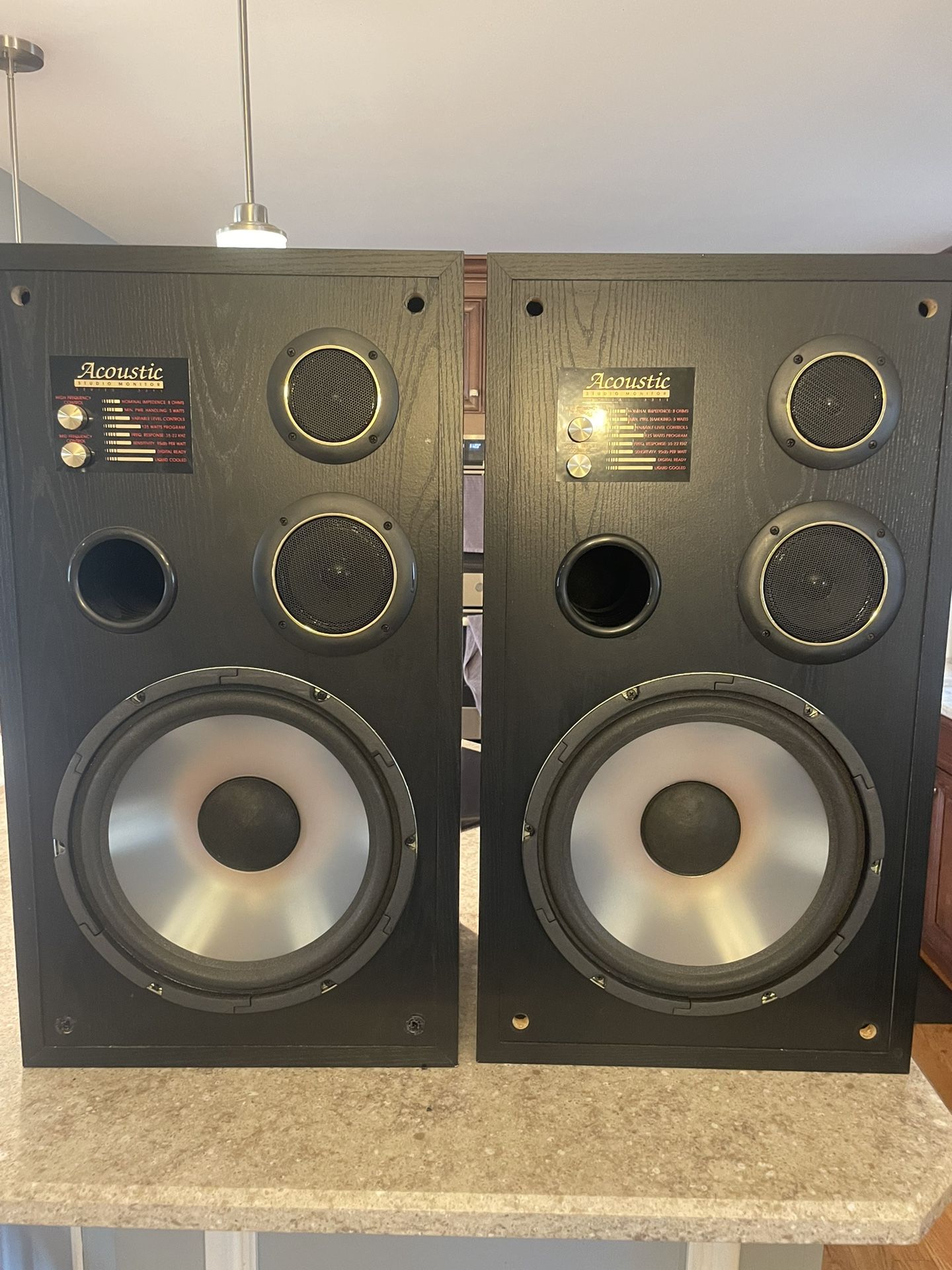 Acoustic Studio Monitor Series 3311 Floor Standing Stereo Speakers