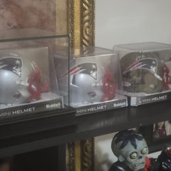 Signed Mini Helmets