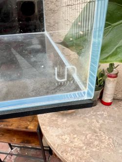 Shallow Rimless Aquarium