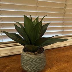 Faux Foxtail Agave in Blue Ceramic Pot with Pebbles