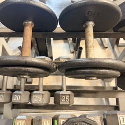 30lb Dumbbells 