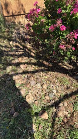 Free Decorative rock