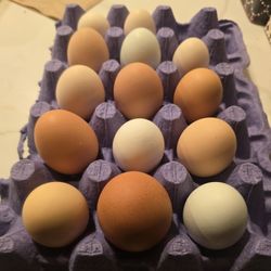 Fresh Farm Eggs For Sale