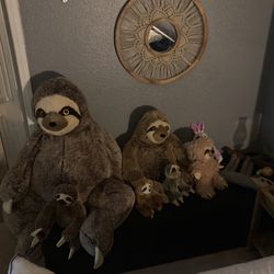 Sloth Collection