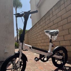 Electric bicycle