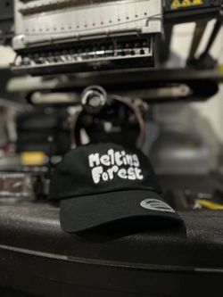12 Dad Hats With Embroidery Custom Logo Or Text 