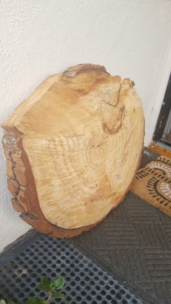 Tree trunk