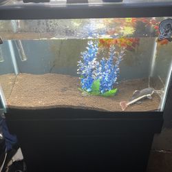 Fish Tank And Stand