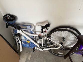 Free - Women’s Bike Frame