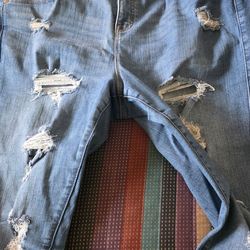 EUC Torrid Skinny Jeans