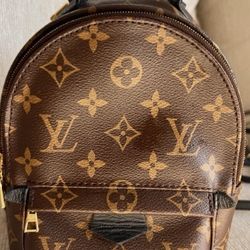 Louis Vuitton backpack