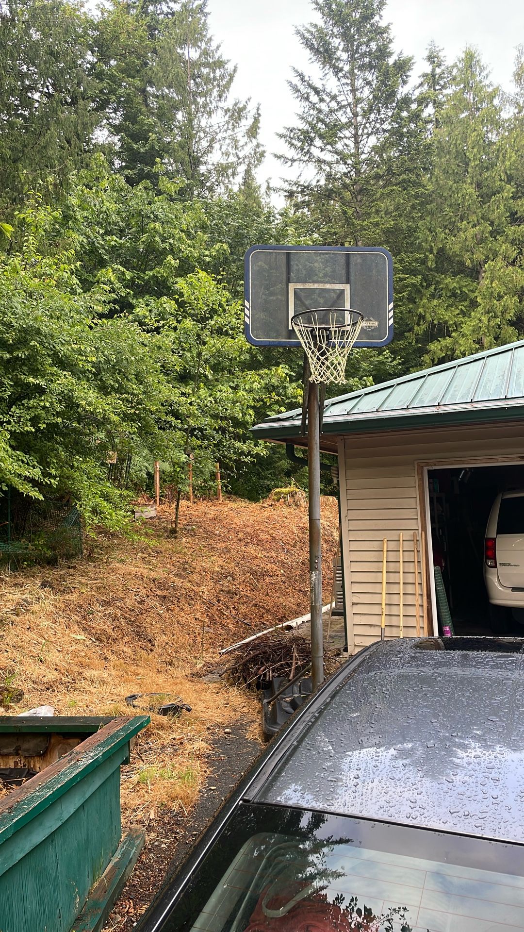 Basketball Hoop