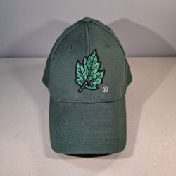 Hidden NY Green Leaf Embroidered Hat