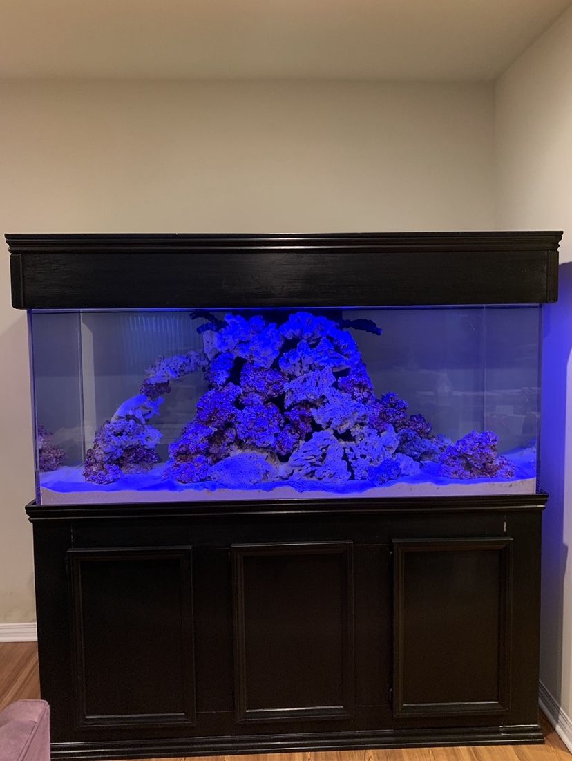 300 Gallon Acrylic Tank w/ Stand And Canopy