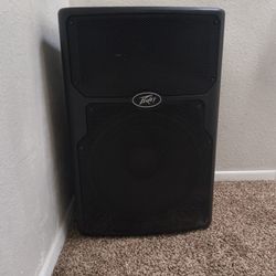 Peavy PVX P15 Speaker