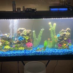 55 Gallon Fish Tank Aquarium Set Up And Stand. 
