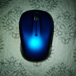 Computer Mouse
