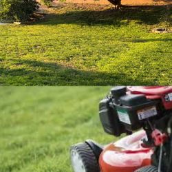 Lawn Mower