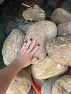 Large Rocks $1 Each Buckets Of Smaller Rocks $2 Each